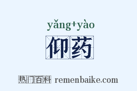 仰药是什么意思的图片